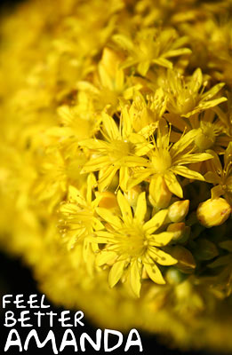 feel better flowers