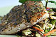 Red Snapper