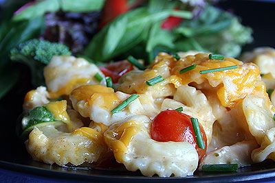 chicken macaroni cheese