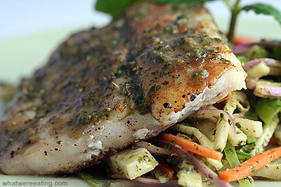 Red Snapper