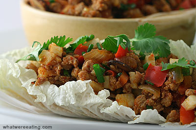 Turkey larb