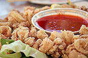 Fried Calamari