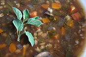 Details of Mushroom and Barley Soup