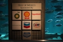 Gulf of Mexico Sponsored by BP