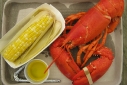 maine lobster dinner